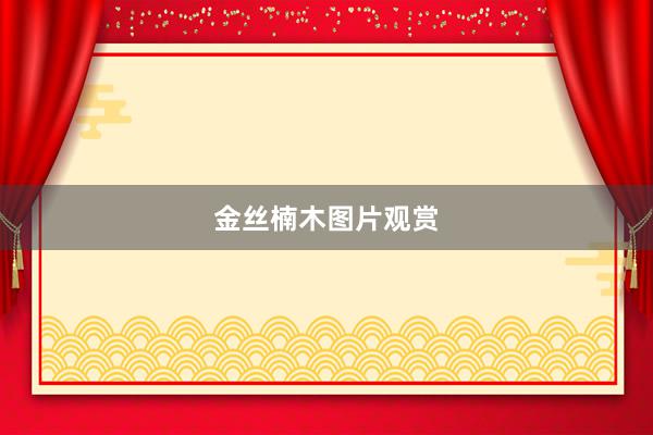 金丝楠木图片观赏