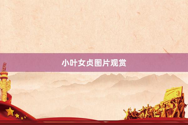 小叶女贞图片观赏
