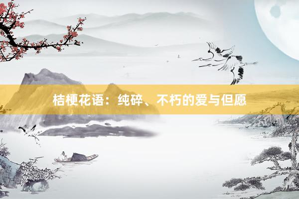 桔梗花语：纯碎、不朽的爱与但愿
