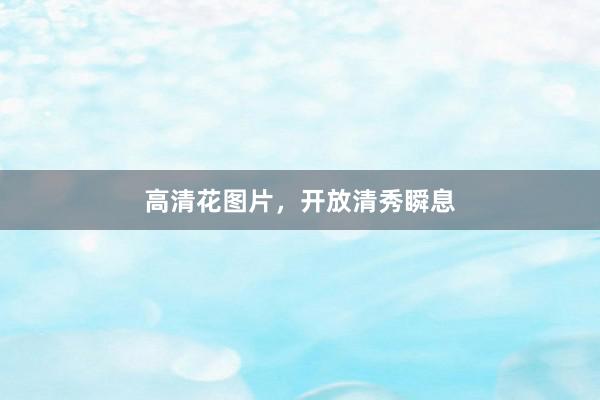 高清花图片，开放清秀瞬息