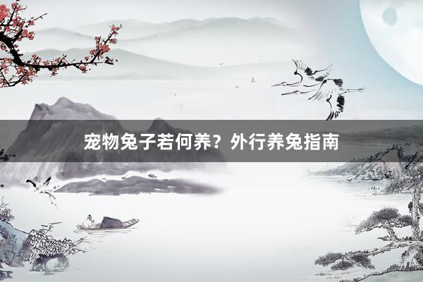 宠物兔子若何养？外行养兔指南