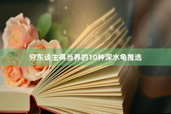 穷东谈主得当养的10种深水龟推选